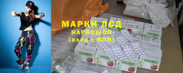 гидра Кукмор