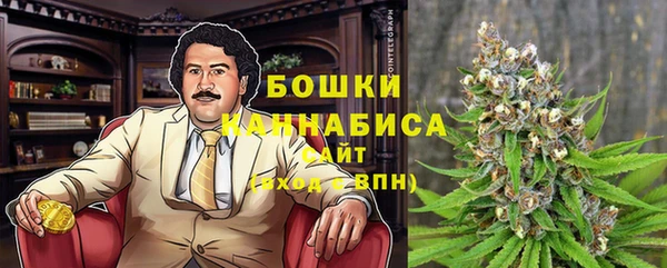 гидра Кукмор