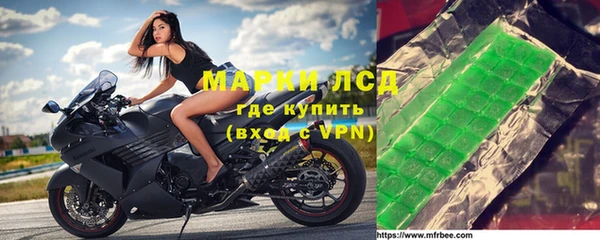 гидра Кукмор