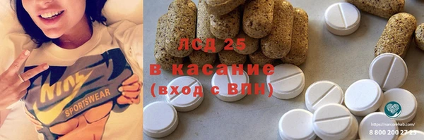 гидра Кукмор