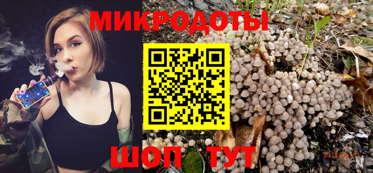 Псилоцибиновые грибы мухоморы  Вход с VPN  наркотики  Холмск 